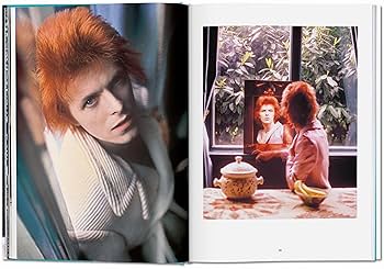 希少❗️ The Rise of David Bowie, 1972-1973 The Rise of David Bowie 1972-1973. by BOWIE, David, & Mick